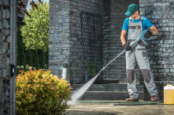 Animal Enclosure Cleaning in Pea Ridge, FL