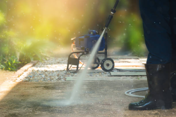 Best Driveway Pressure Washing  in Pea Ridge, FL